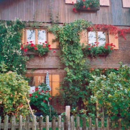 Haus Lisa Wittwer Apartment Bad Hindelang Exterior photo